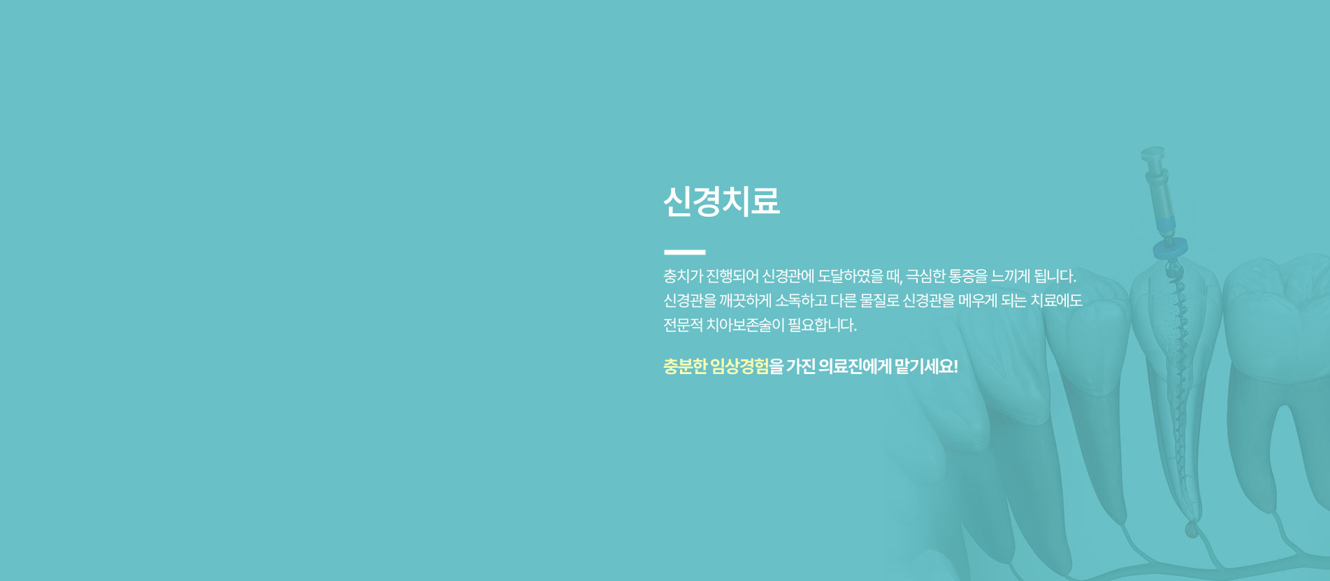 디지털특화진료
