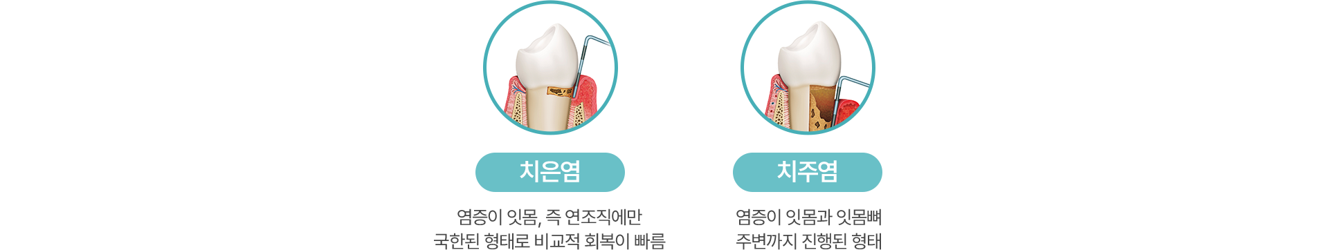 디지털특화진료